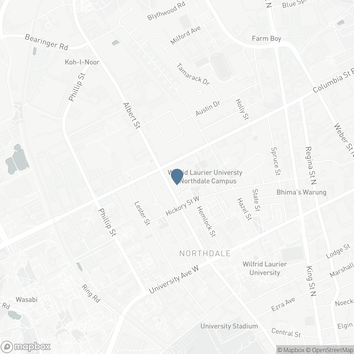 119 - 338 ALBERT STREET, Waterloo, Ontario N2L 3T8